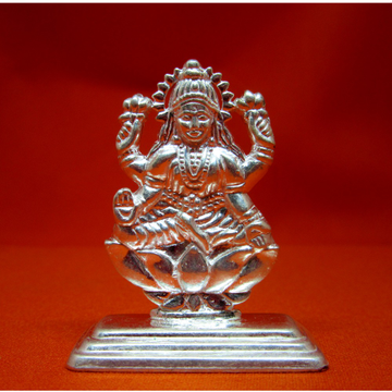 Silver shree lakshmiji murti pooja items by 